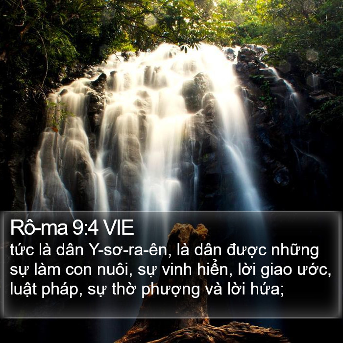 Rô-ma 9:4 VIE Bible Study