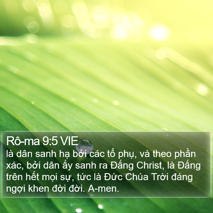 Rô-ma 9:5 VIE Bible Study