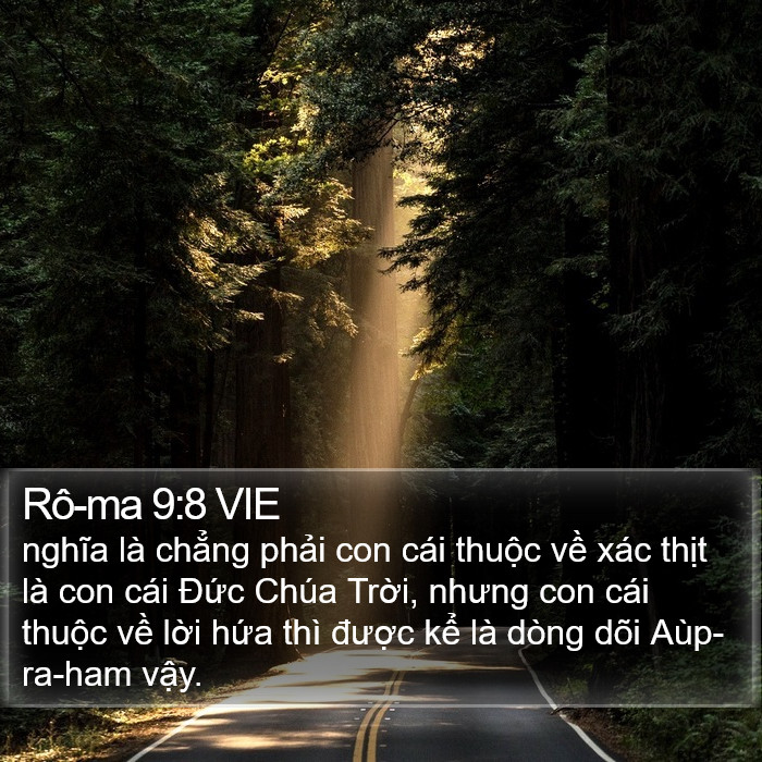 Rô-ma 9:8 VIE Bible Study