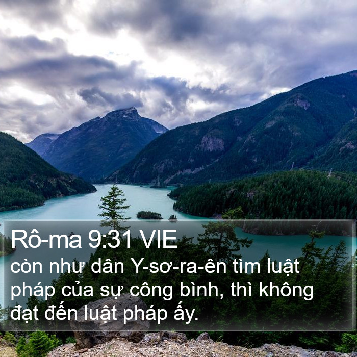 Rô-ma 9:31 VIE Bible Study