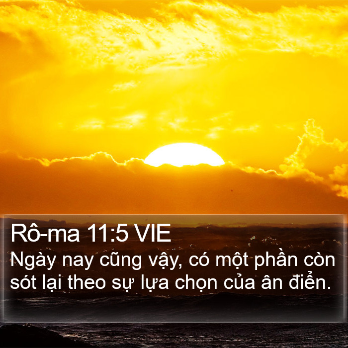 Rô-ma 11:5 VIE Bible Study