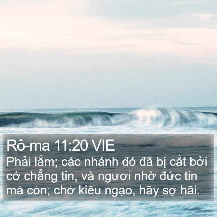 Rô-ma 11:20 VIE Bible Study