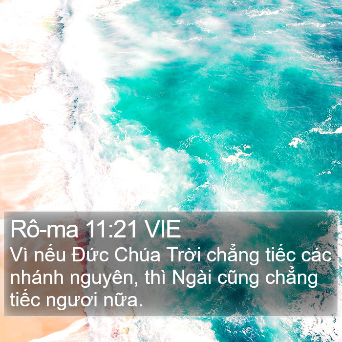 Rô-ma 11:21 VIE Bible Study