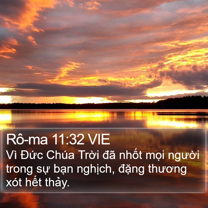 Rô-ma 11:32 VIE Bible Study