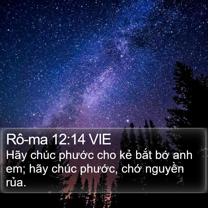 Rô-ma 12:14 VIE Bible Study
