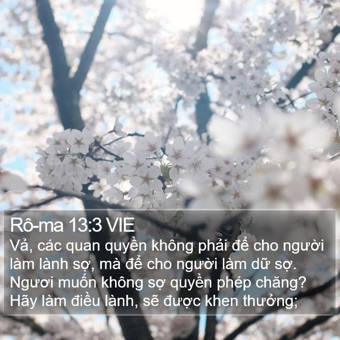 Rô-ma 13:3 VIE Bible Study