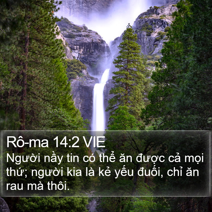 Rô-ma 14:2 VIE Bible Study