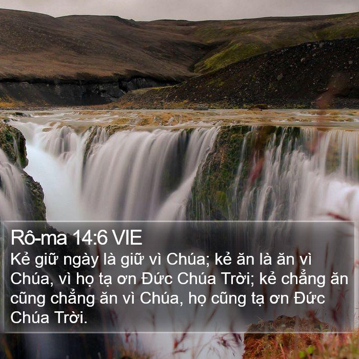 Rô-ma 14:6 VIE Bible Study