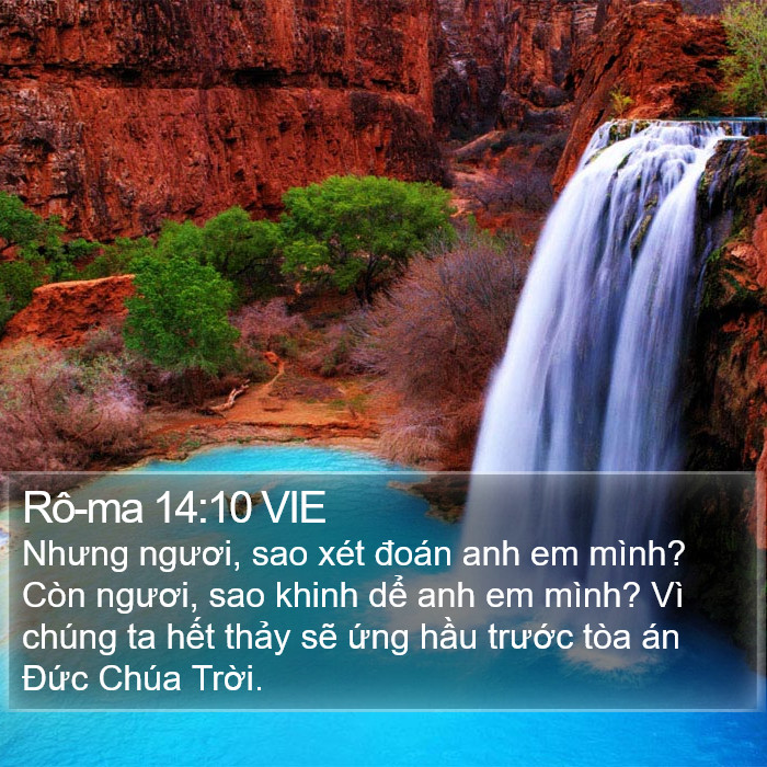 Rô-ma 14:10 VIE Bible Study