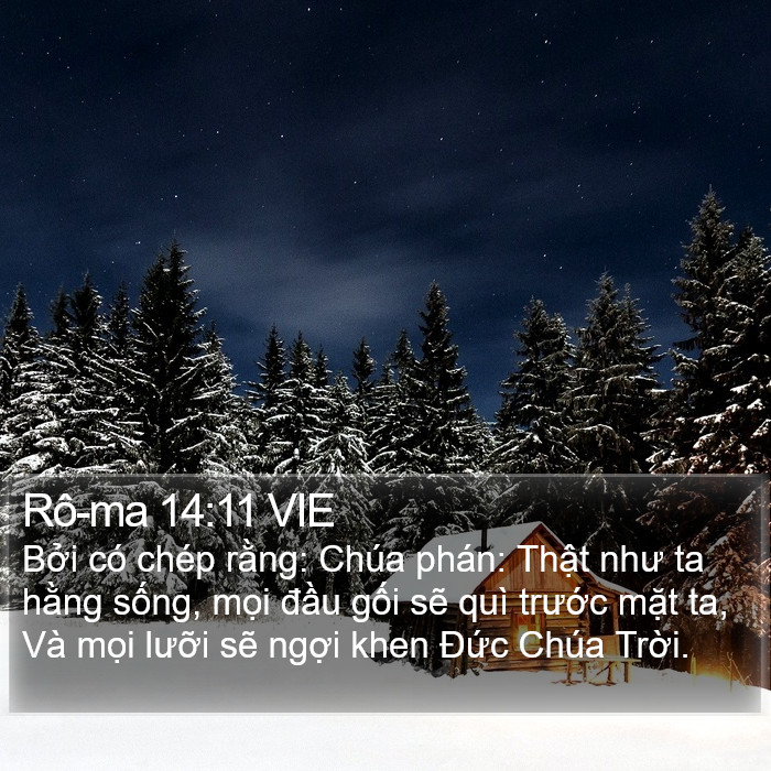 Rô-ma 14:11 VIE Bible Study