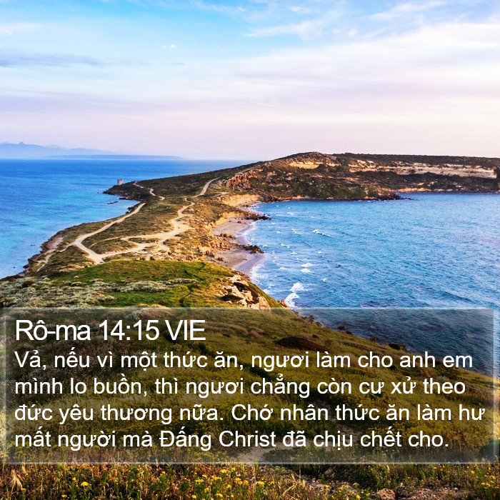 Rô-ma 14:15 VIE Bible Study