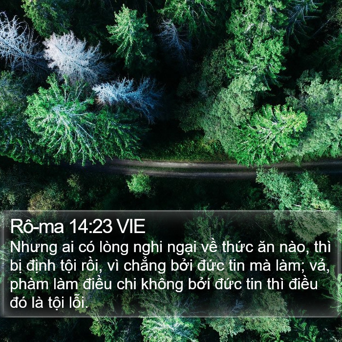 Rô-ma 14:23 VIE Bible Study