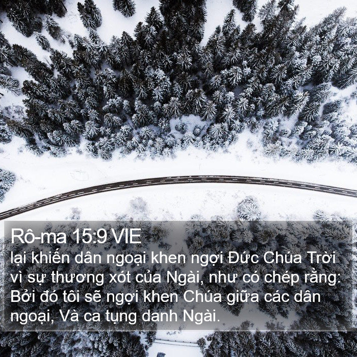 Rô-ma 15:9 VIE Bible Study