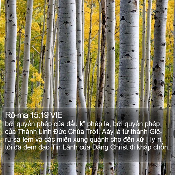 Rô-ma 15:19 VIE Bible Study