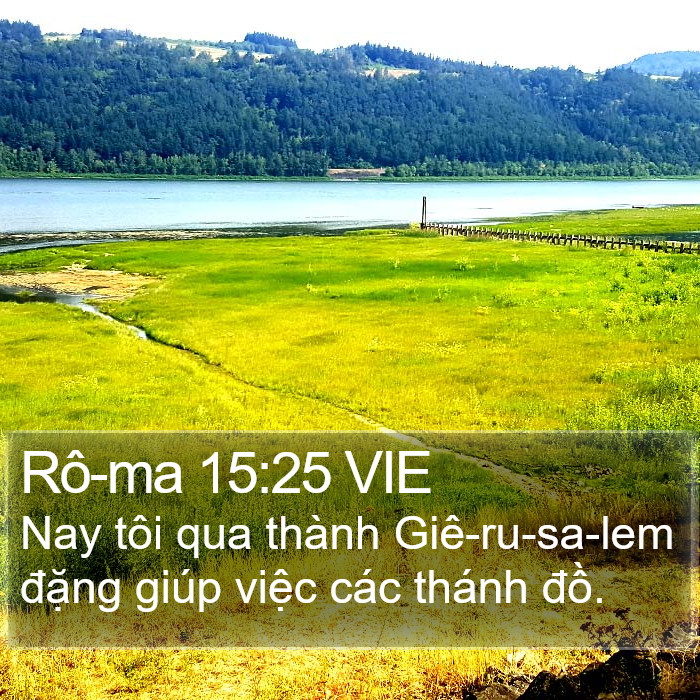 Rô-ma 15:25 VIE Bible Study