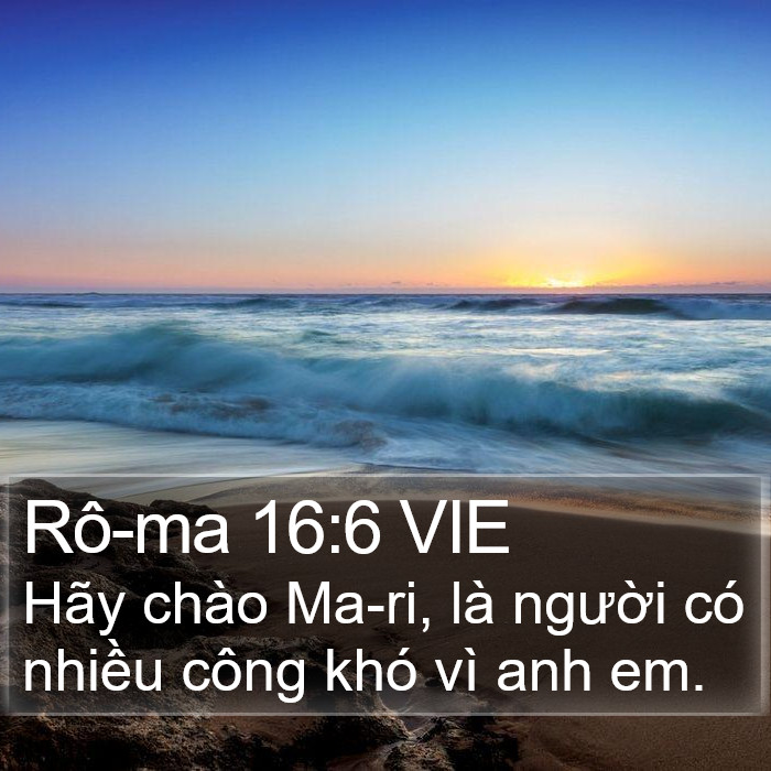 Rô-ma 16:6 VIE Bible Study