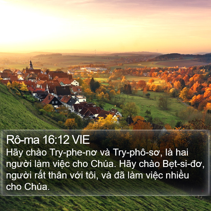 Rô-ma 16:12 VIE Bible Study