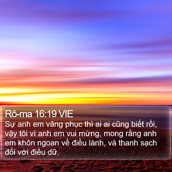 Rô-ma 16:19 VIE Bible Study