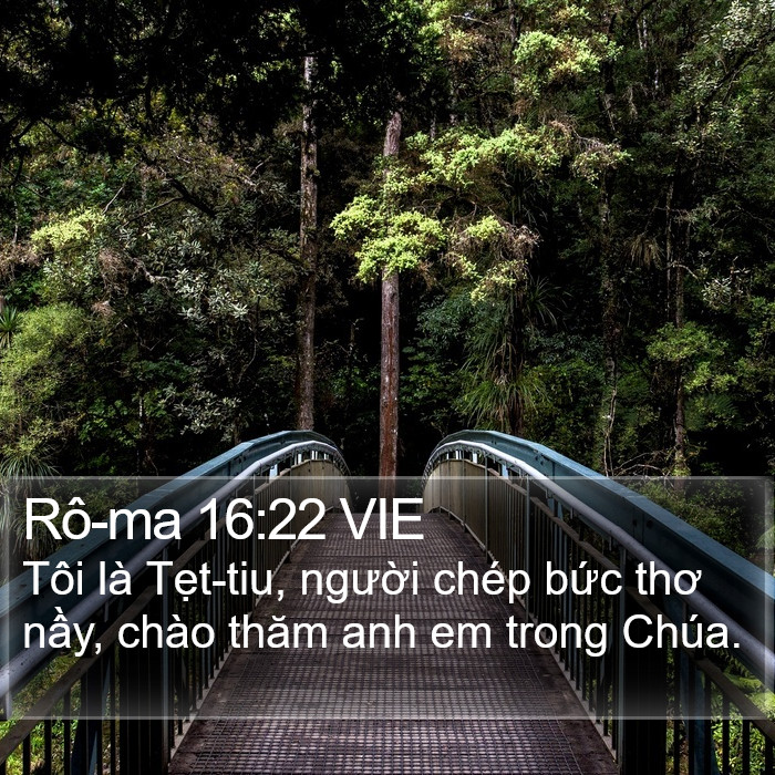 Rô-ma 16:22 VIE Bible Study