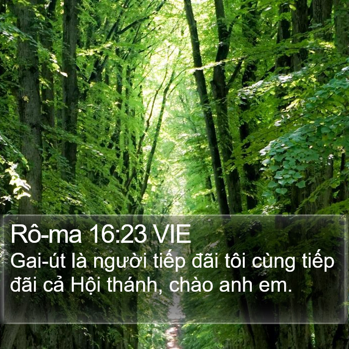 Rô-ma 16:23 VIE Bible Study