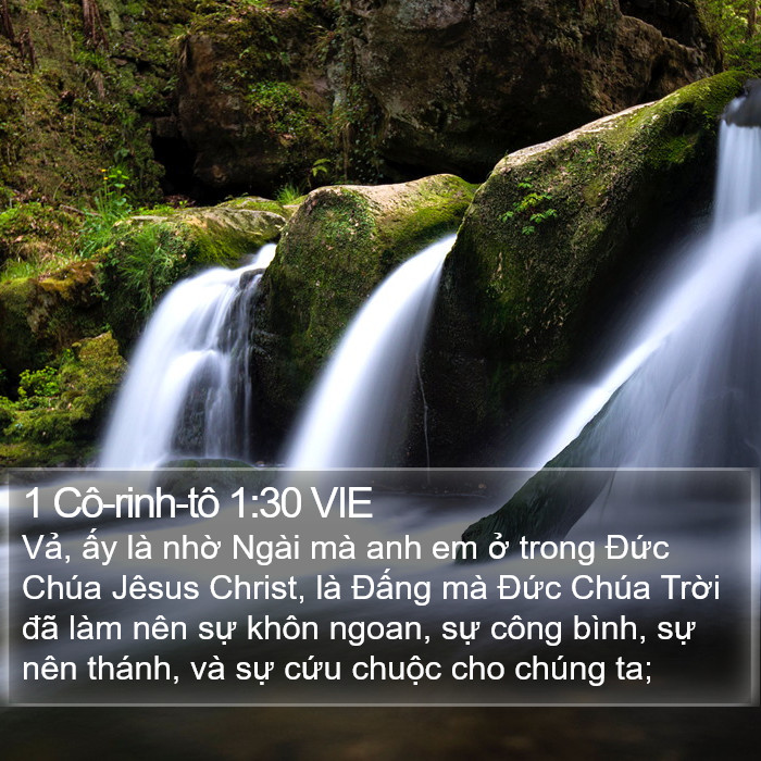 1 Cô-rinh-tô 1:30 VIE Bible Study