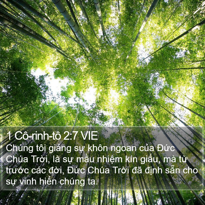1 Cô-rinh-tô 2:7 VIE Bible Study