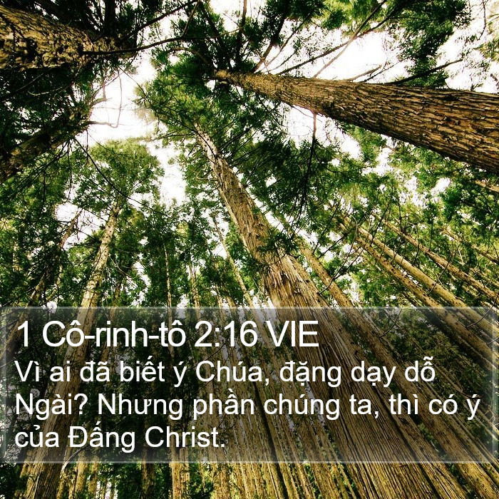 1 Cô-rinh-tô 2:16 VIE Bible Study