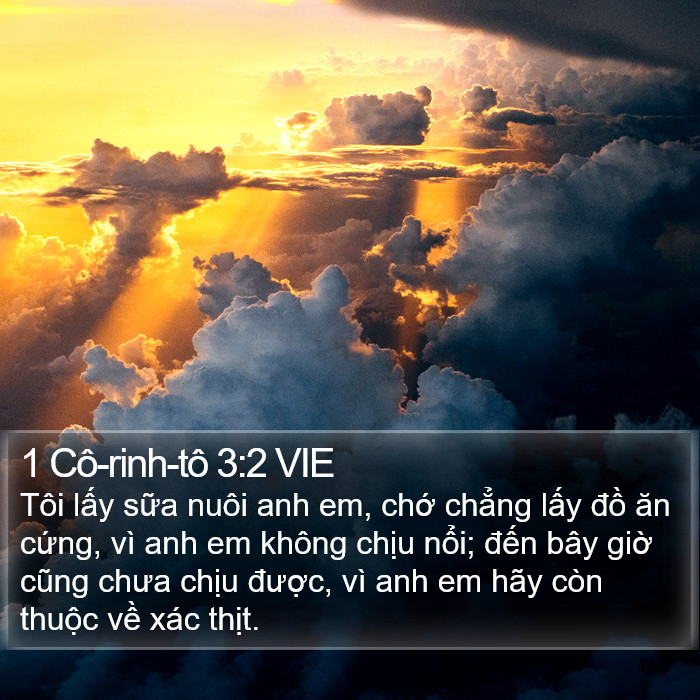 1 Cô-rinh-tô 3:2 VIE Bible Study