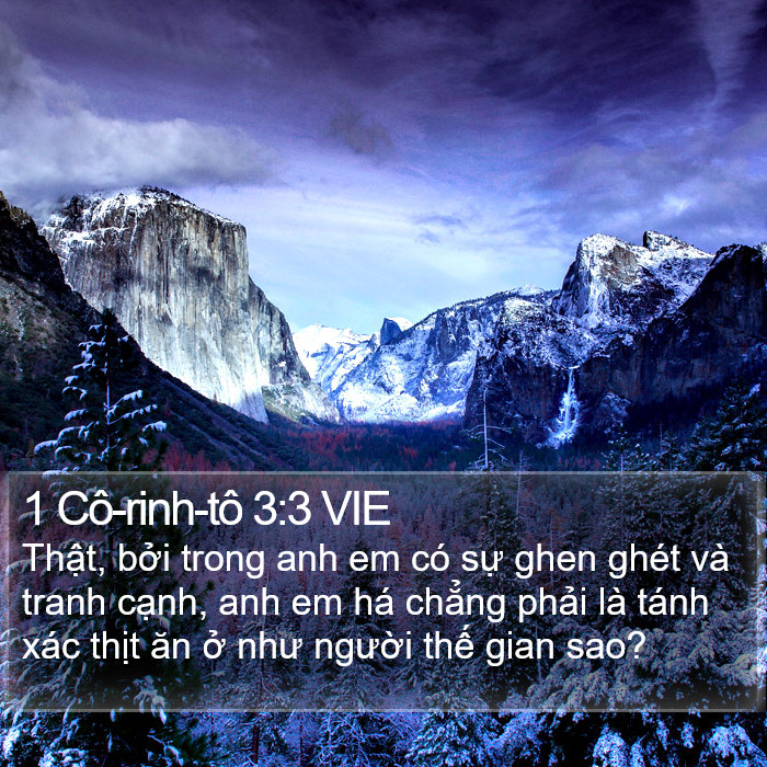 1 Cô-rinh-tô 3:3 VIE Bible Study