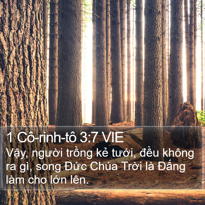 1 Cô-rinh-tô 3:7 VIE Bible Study