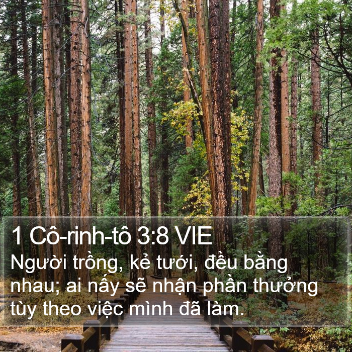 1 Cô-rinh-tô 3:8 VIE Bible Study