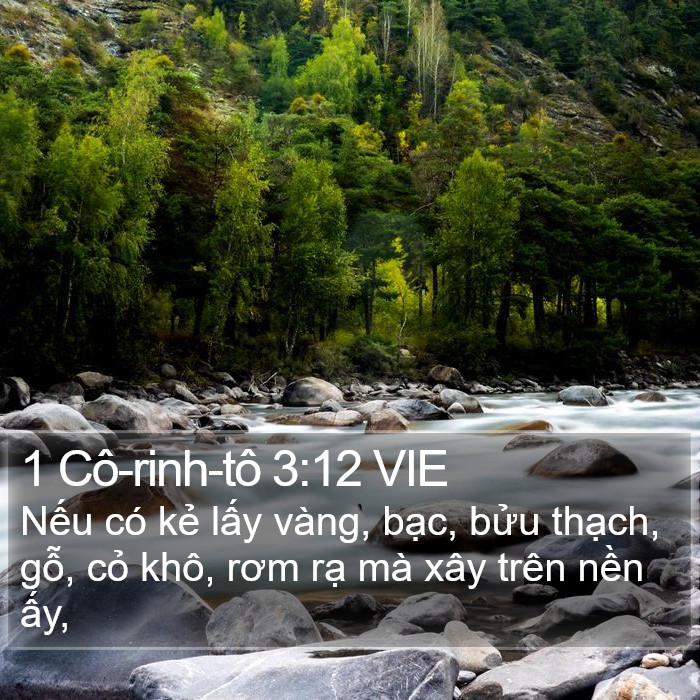 1 Cô-rinh-tô 3:12 VIE Bible Study