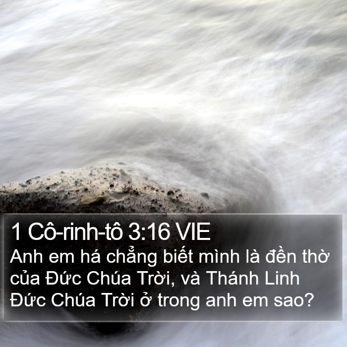 1 Cô-rinh-tô 3:16 VIE Bible Study