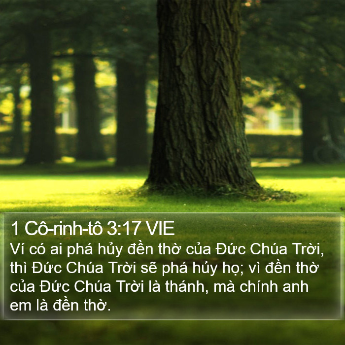 1 Cô-rinh-tô 3:17 VIE Bible Study