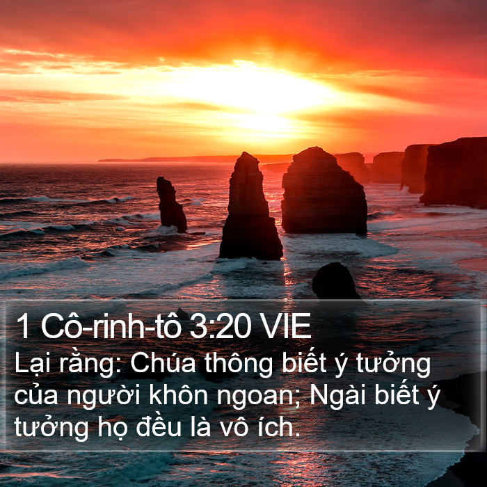 1 Cô-rinh-tô 3:20 VIE Bible Study