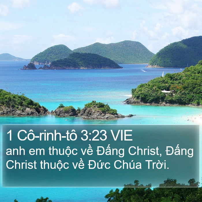 1 Cô-rinh-tô 3:23 VIE Bible Study