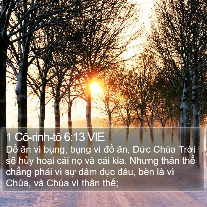 1 Cô-rinh-tô 6:13 VIE Bible Study