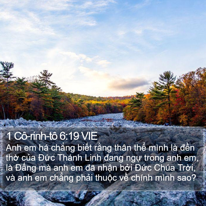 1 Cô-rinh-tô 6:19 VIE Bible Study