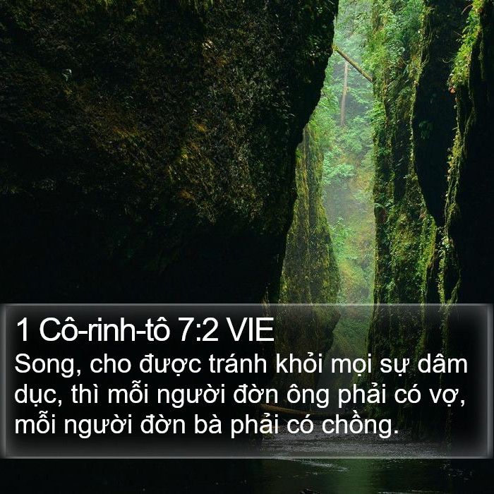 1 Cô-rinh-tô 7:2 VIE Bible Study