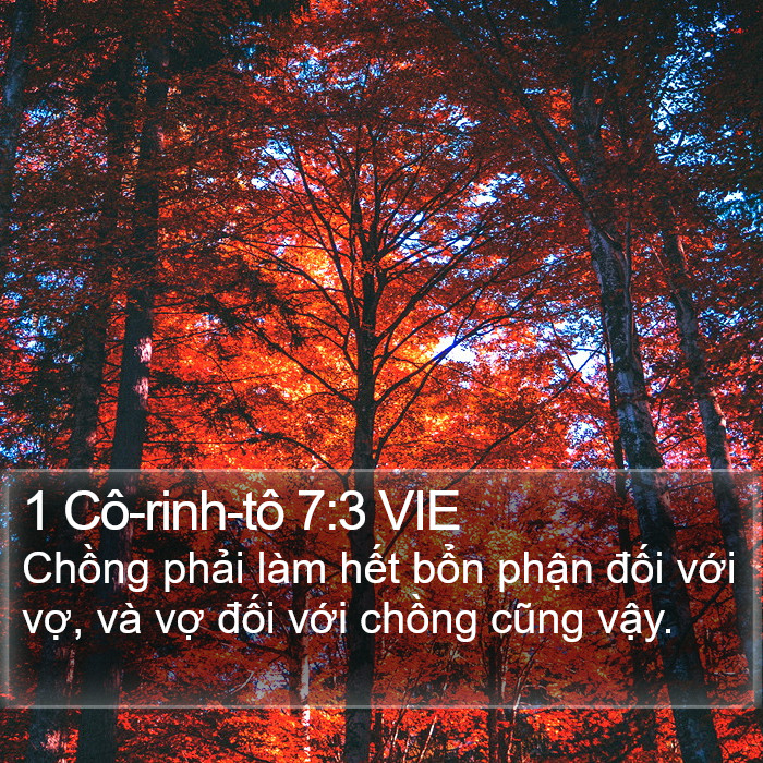 1 Cô-rinh-tô 7:3 VIE Bible Study