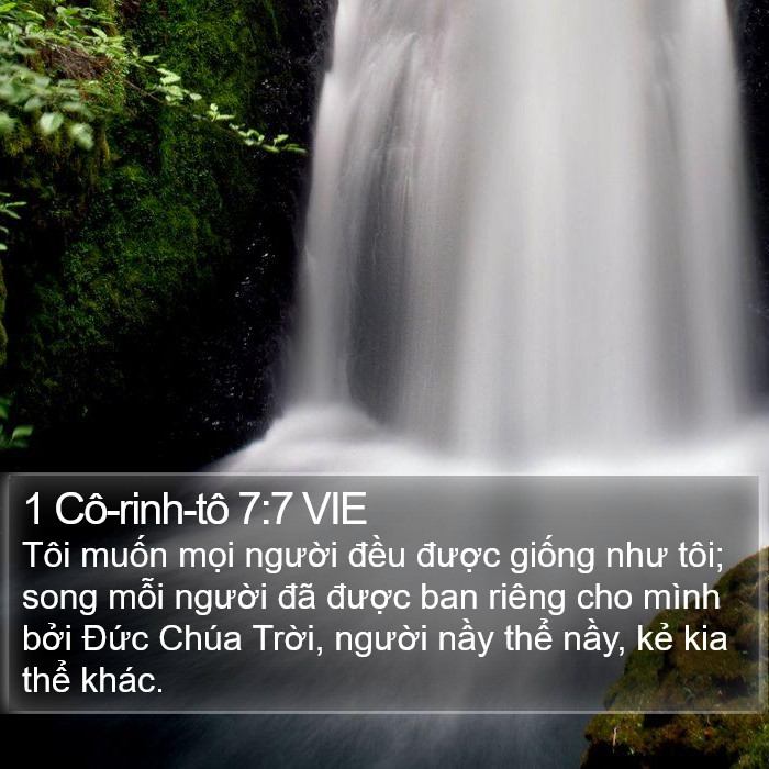 1 Cô-rinh-tô 7:7 VIE Bible Study