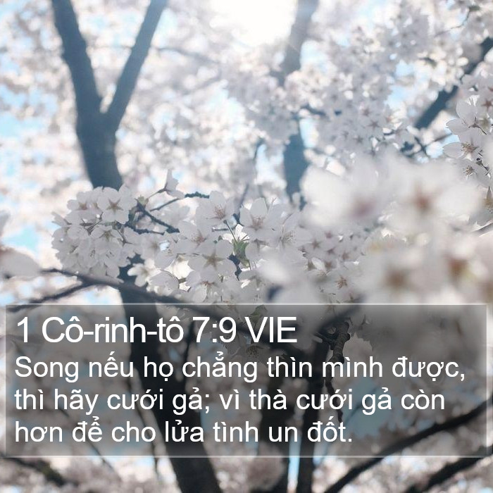 1 Cô-rinh-tô 7:9 VIE Bible Study