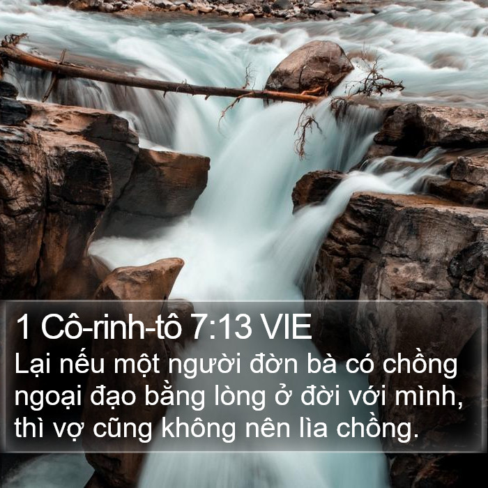 1 Cô-rinh-tô 7:13 VIE Bible Study