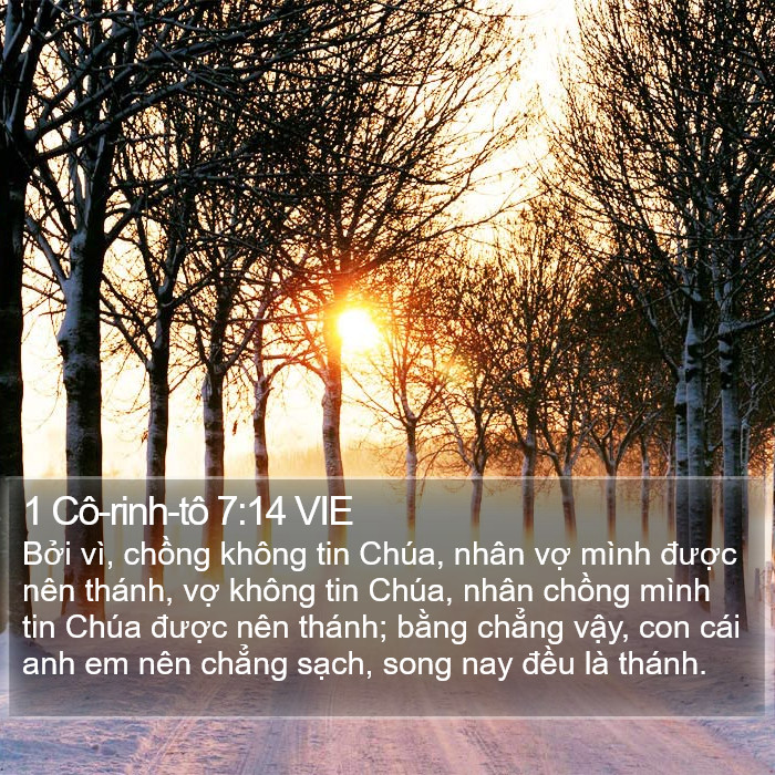 1 Cô-rinh-tô 7:14 VIE Bible Study