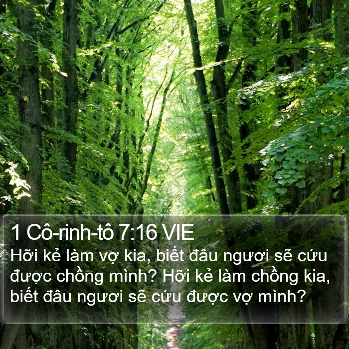 1 Cô-rinh-tô 7:16 VIE Bible Study