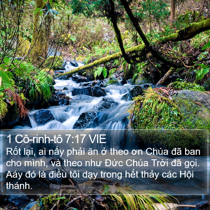 1 Cô-rinh-tô 7:17 VIE Bible Study