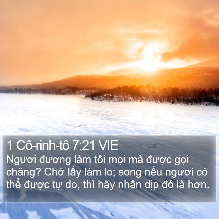 1 Cô-rinh-tô 7:21 VIE Bible Study