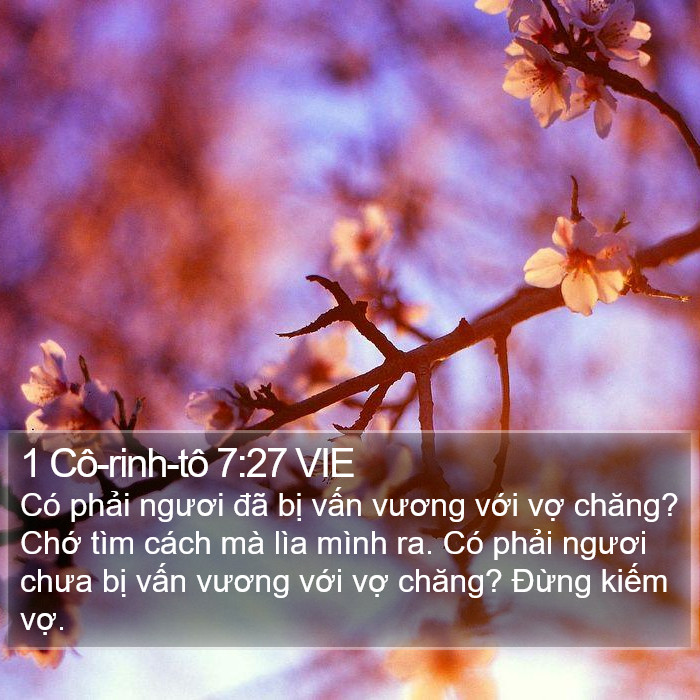 1 Cô-rinh-tô 7:27 VIE Bible Study