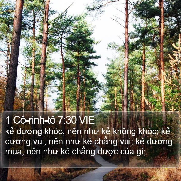 1 Cô-rinh-tô 7:30 VIE Bible Study