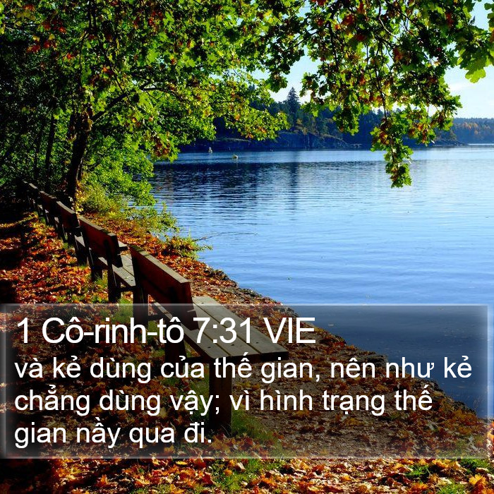 1 Cô-rinh-tô 7:31 VIE Bible Study